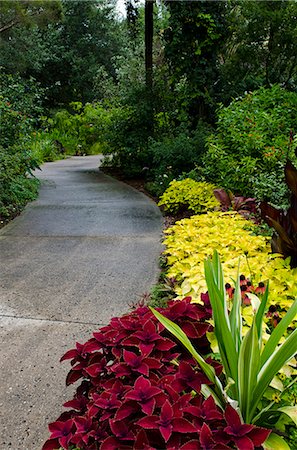 Harry P. Leu Gardens, Orlando, Floride, États-Unis d'Amérique, l'Amérique du Nord Photographie de stock - Rights-Managed, Code: 841-06343323