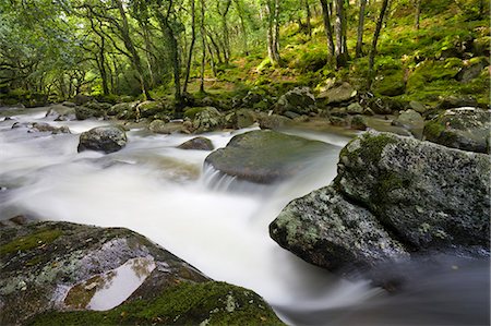 simsearch:841-06343466,k - Rocky River Plym flowing through Dewerstone Wood in summer, Dartmoor National Park, Devon, England, United Kingdom, Europe Foto de stock - Direito Controlado, Número: 841-06343394