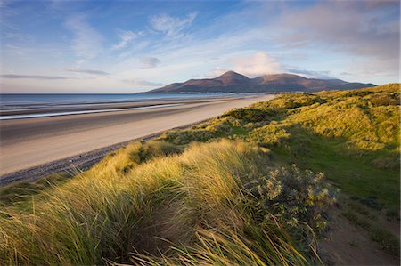 simsearch:841-06343466,k - Sand dunes at Murlough alongside Dundrum Bay, with the Mountains of Mourne in the background, County Down, Northern Ireland, United Kingdom, Europe Foto de stock - Direito Controlado, Número: 841-06343414