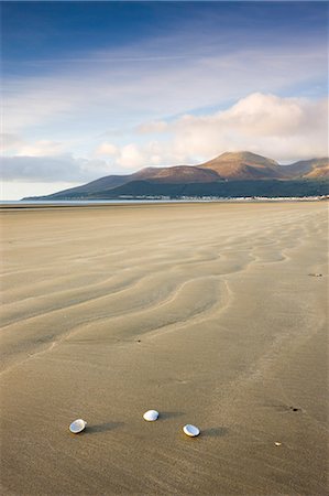 Shells on Dundrum Bay, looking towards the Mountains of Mourne, County Down, Northern Ireland, United Kingdom, Europe Fotografie stock - Rights-Managed, Codice: 841-06343415