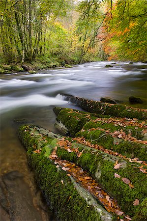 simsearch:841-06343466,k - Autumn colours beside the River Barle near Tarr Steps, Exmoor National Park, Somerset, England, United Kingdom, Europe Foto de stock - Direito Controlado, Número: 841-06343430