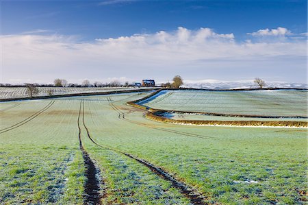simsearch:841-06343466,k - Frost covered farmland in Morchard Bishop, Mid Devon, England, United Kingdom, Europe Foto de stock - Direito Controlado, Número: 841-06343459