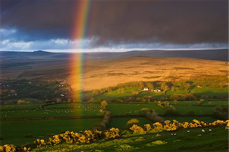 dartmoor national park - Rainbow above rolling farmland on the edges of Dartmoor National Park, Devon, England, United Kingdom, Europe Foto de stock - Con derechos protegidos, Código: 841-06343475