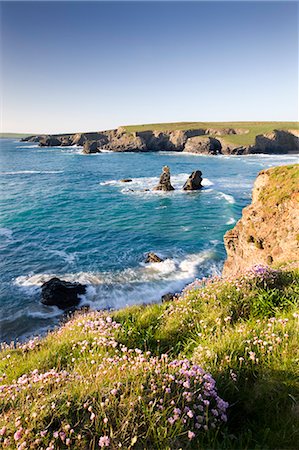 simsearch:841-06343521,k - Clifftop view of Porthcothan Bay with spring wildflowers, Cornwall, England, United Kingdom, Europe Fotografie stock - Rights-Managed, Codice: 841-06343519