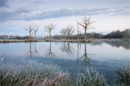 Frosty winter scene beside a still lake, Morchard Road, Devon, England, United Kingdom, Europe Foto de stock - Con derechos protegidos, Código: 841-06343564
