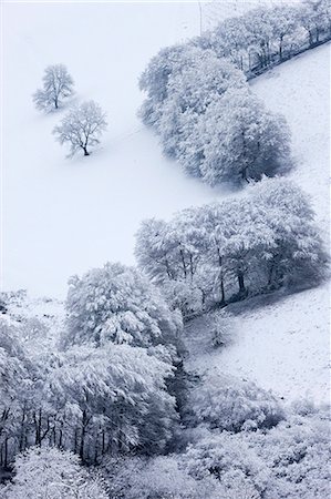 exmoor - Trees in snow at the Punchbowl, Exmoor National Park, Somerset, England, United Kingdom, Europe Stock Photo - Rights-Managed, Code: 841-06343630