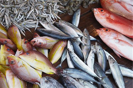 southern province - Poisson au marché, Weligama, Southern Province, Sri Lanka, Asie Photographie de stock - Rights-Managed, Code: 841-06343763