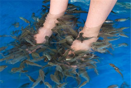 shoal (group of marine animals) - Massage des pieds de poisson, Siem Reap, Cambodge, Indochine, Asie du sud-est, Asie Photographie de stock - Rights-Managed, Code: 841-06343839