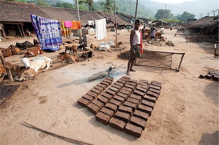 simsearch:841-06343908,k - Young man standing in traditional Desia Kondh tribal village street, mud bricks drying in the sun, Bissam Cuttack, Orissa, India, Asia Foto de stock - Con derechos protegidos, Código: 841-06343898