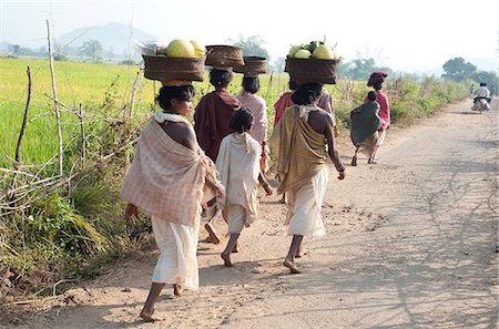 Dunguria Kondh tribeswomen walking barefoot to tribal market carrying baskets of produce on their heads, Bissam Cuttack, Orissa, India, Asia Stock Photo - Rights-Managed, Code: 841-06343915