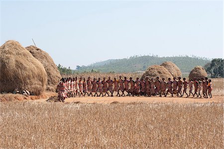 picture of people dancing for harvest - Tribal dancing by village women celebrating the rice harvest, rural Orissa, India, Asia Stock Photo - Rights-Managed, Code: 841-06343920