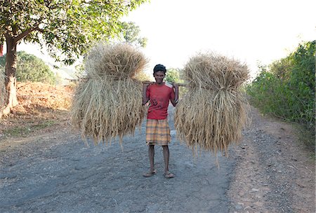 simsearch:841-06343908,k - Man carrying bundles of rice straw balanced on wooden pole along rural road near Rayagada, Orissa, India, Asia Foto de stock - Con derechos protegidos, Código: 841-06343922