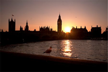 Coucher de soleil sur le pont de Westminster, les maisons du Parlement et Big Ben, patrimoine mondial de l'UNESCO, Londres, Royaume-Uni, Europe Photographie de stock - Rights-Managed, Code: 841-06444578