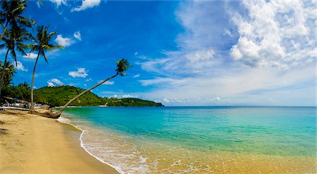 Panorama of an overhanging palm tree at Nippah Beach on tropical Lombok Island, Indonesia, Southeast Asia, Asia Foto de stock - Con derechos protegidos, Código: 841-06445150