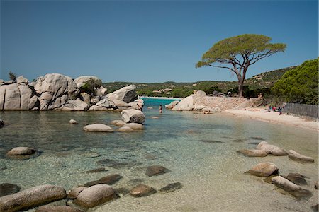 Palombaggia Beach near Porto-Vecchio, Corsica, France, Mediterranean, Europe Stock Photo - Rights-Managed, Code: 841-06445555