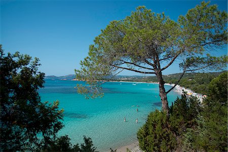 palombaggia - An elevated view of Palombaggia Beach near Porto-Vecchio, Corsica, France, Mediterranean, Europe Stock Photo - Rights-Managed, Code: 841-06445556