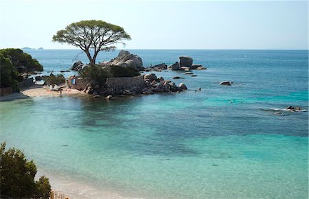 Palombaggia Beach near Porto-Vecchio, Corsica, France, Mediterranean, Europe Stock Photo - Rights-Managed, Code: 841-06445560