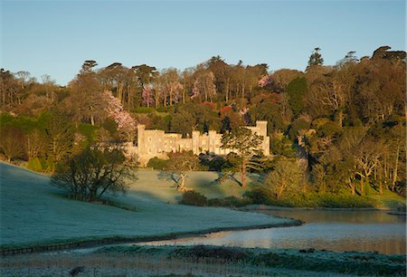 simsearch:841-05846156,k - Lever du soleil au château de Caerhays avec magnolias en fleurs derrière le château et le soleil se reflète dans le lac, St. Austell, Cornwall, Angleterre, Royaume-Uni, Europe Photographie de stock - Rights-Managed, Code: 841-06445591