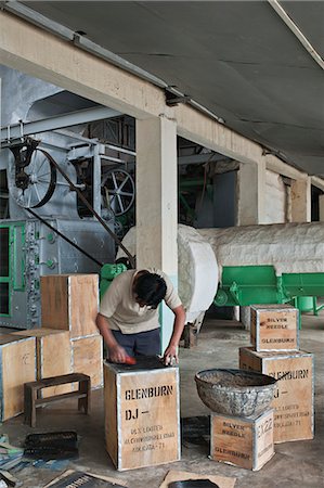 darjeeling tea - Glenburn Tea Factory, near Darjeeling, West Bengal, India, Asia Stock Photo - Rights-Managed, Code: 841-06445627