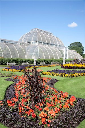 Palm House parterre with floral display of approx 16000 plants, Royal Botanic Gardens, UNESCO World Heritage Site, Kew, near Richmond, Surrey, England, United Kingdom, Europe Stock Photo - Rights-Managed, Code: 841-06445723