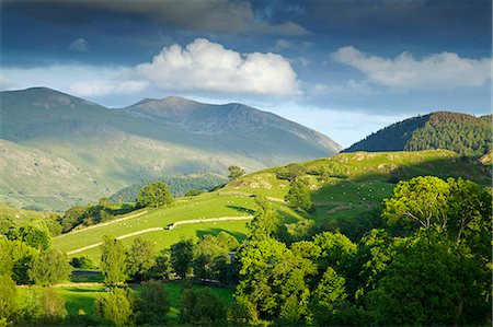 Matterdale Common, near Dale Bottom, Lake District National Park, Cumbria, England, United Kingdom, Europe Stock Photo - Rights-Managed, Code: 841-06445764