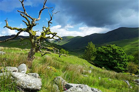 pelado - Woundale, le Parc National de Lake District, Cumbria, Angleterre, Royaume-Uni, Europe Photographie de stock - Rights-Managed, Code: 841-06445790