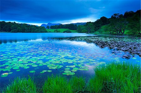 Loughrigg Tarn, Lake District National Park, Cumbria, England, United Kingdom, Europe Foto de stock - Con derechos protegidos, Código: 841-06445811