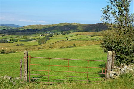 simsearch:841-06449472,k - Mourne Mountains, County Down, Ulster, Northern Ireland, United Kingdom, Europe Foto de stock - Con derechos protegidos, Código: 841-06445822