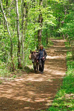 Donkey trekking in the Ardeche, France, Europe Stock Photo - Rights-Managed, Code: 841-06445859