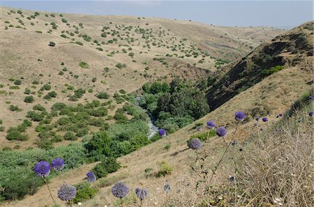 View of River Jordan from the Mountainous Jordan River trail. Upper Galilee, Israel, Middle East Foto de stock - Con derechos protegidos, Código: 841-06445891