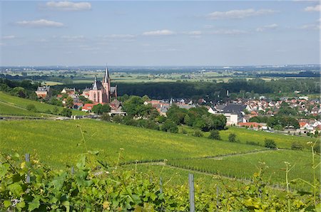 simsearch:841-07083491,k - Vue sud-est sur la vallée du Rhin et l'église de St. Katherine dans la ville viticole de Oppenheim, Rhénanie Palatinat, Allemagne, Europe Photographie de stock - Rights-Managed, Code: 841-06446247