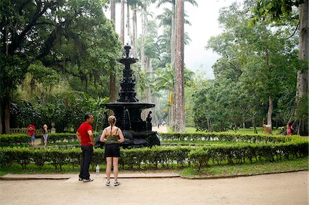 Jardim Botanico (Botanical Gardens), Rio de Janeiro, Brazil, South America Stock Photo - Rights-Managed, Code: 841-06446379