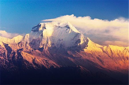 Dhaulagiri Himal à partir de Khopra, Annapurna Conservation Area, Dhawalagiri (Dhaulagiri), région de l'Ouest (Pashchimanchal), Népal, Himalaya, Asie Photographie de stock - Rights-Managed, Code: 841-06446599