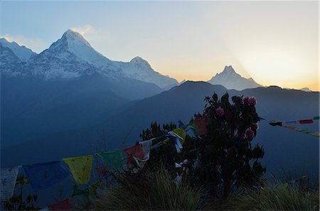 simsearch:841-06446552,k - Annapurna Range seen from Poon Hill, Annapurna Conservation Area, Dhawalagiri (Dhaulagiri), Western Region (Pashchimanchal), Nepal, Himalayas, Asia Fotografie stock - Rights-Managed, Codice: 841-06446604