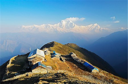 simsearch:841-02915823,k - Dhaulagiri Himal seen from Khopra, Annapurna Conservation Area, Dhawalagiri (Dhaulagiri), Western Region (Pashchimanchal), Nepal, Himalayas, Asia Foto de stock - Con derechos protegidos, Código: 841-06446601