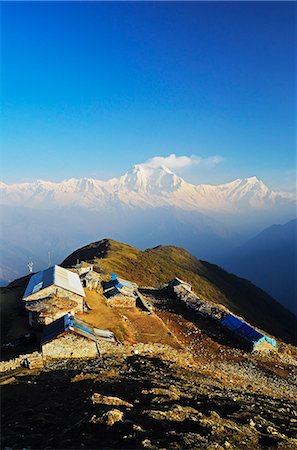 simsearch:841-02915823,k - Dhaulagiri Himal seen from Khopra, Annapurna Conservation Area, Dhawalagiri (Dhaulagiri), Western Region (Pashchimanchal), Nepal, Himalayas, Asia Foto de stock - Con derechos protegidos, Código: 841-06446602