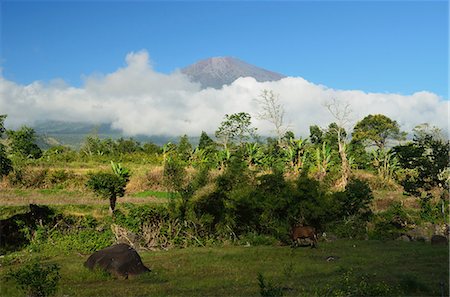 simsearch:841-06446641,k - View of  Mount Rinjani from Sembalun Lawang, Lombok, Indonesia, Southeast Asia, Asia Foto de stock - Con derechos protegidos, Código: 841-06446646