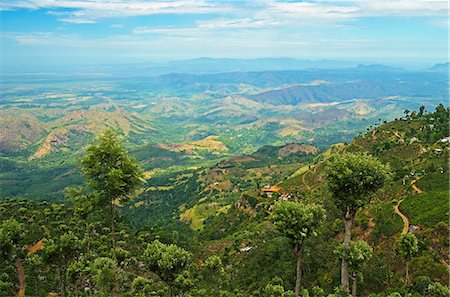 sri lanka - View of tea plantations from Lipton's Seat, Haputale, Sri Lanka, Asia Foto de stock - Direito Controlado, Número: 841-06446722