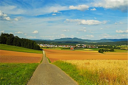 Scène rurale, village de Lauffen, près de Rottweil, forêt-noire, Schwarzwald-Baar, Bade-Wurtemberg, Allemagne, Europe Photographie de stock - Rights-Managed, Code: 841-06446738