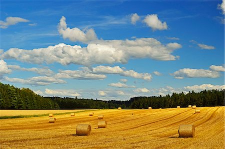 Rural scene, near Villingen-Schwenningen, Black Forest, Schwarzwald-Baar, Baden-Wurttemberg, Germany, Europe Foto de stock - Con derechos protegidos, Código: 841-06446743