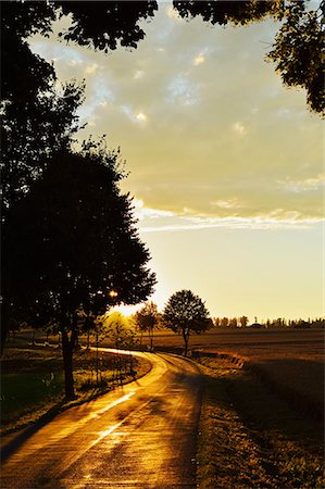 scenic roads with tree - Rural scene, near Villingen-Schwenningen, Black Forest, Schwarzwald-Baar, Baden-Wurttemberg, Germany, Europe Stock Photo - Rights-Managed, Code: 841-06446758