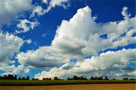 fields and village - Rural scene, near Villingen-Schwenningen, Black Forest, Schwarzwald-Baar, Baden-Wurttemberg, Germany, Europe Stock Photo - Rights-Managed, Code: 841-06446753