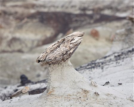 petrified - Hoodoo formed by a piece of petrified wood, San Juan Basin, New Mexico, United States of America, North America Foto de stock - Con derechos protegidos, Código: 841-06446782