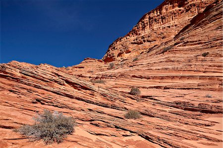 Sandstone layers, Vermillion Cliffs National Monument, Arizona, United States of America, North America Stock Photo - Rights-Managed, Code: 841-06446802
