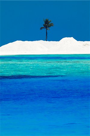 sandbar - Sandbank and palm tree on tropical beach, Maldives, Indian Ocean, Asia Stock Photo - Rights-Managed, Code: 841-06447298