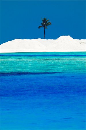 Sandbank and palm tree on tropical beach, Maldives, Indian Ocean, Asia Foto de stock - Direito Controlado, Número: 841-06447298