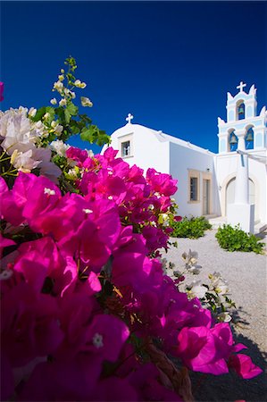 Greek church and flowers, Santorini, Cyclades, Greek Islands, Greece, Europe Foto de stock - Con derechos protegidos, Código: 841-06447305
