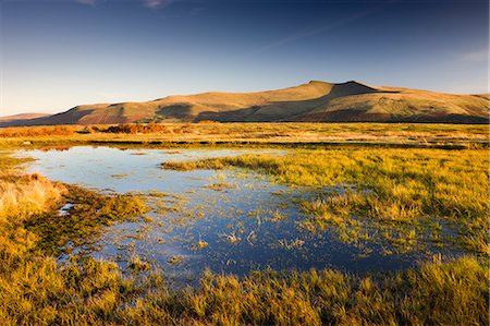 simsearch:841-06448908,k - Brecon Beacons Mountain range, including Pen y Fan viewed from Mynydd Illtud Common, Brecon Beacons , Wales, United Kingdom, Europe Foto de stock - Con derechos protegidos, Código: 841-06447438