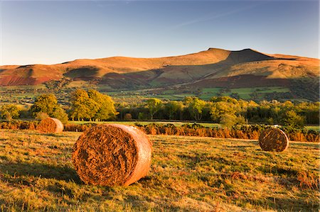 simsearch:841-06447974,k - Bracken bales on Mynydd Illtud Common, looking towards Corn Du and Pen y Fan in the Brecon Beacons, Wales, United Kingdom, Europe Stock Photo - Rights-Managed, Code: 841-06447439