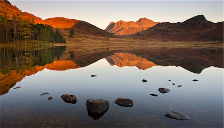 symmetrisch - Die Langdale Pikes spiegelt sich in einem mirrorlike Blea Tarn bei Sonnenaufgang, Lake District-Nationalpark, Cumbria, England, Vereinigtes Königreich, Europa Stockbilder - Lizenzpflichtiges, Bildnummer: 841-06447448